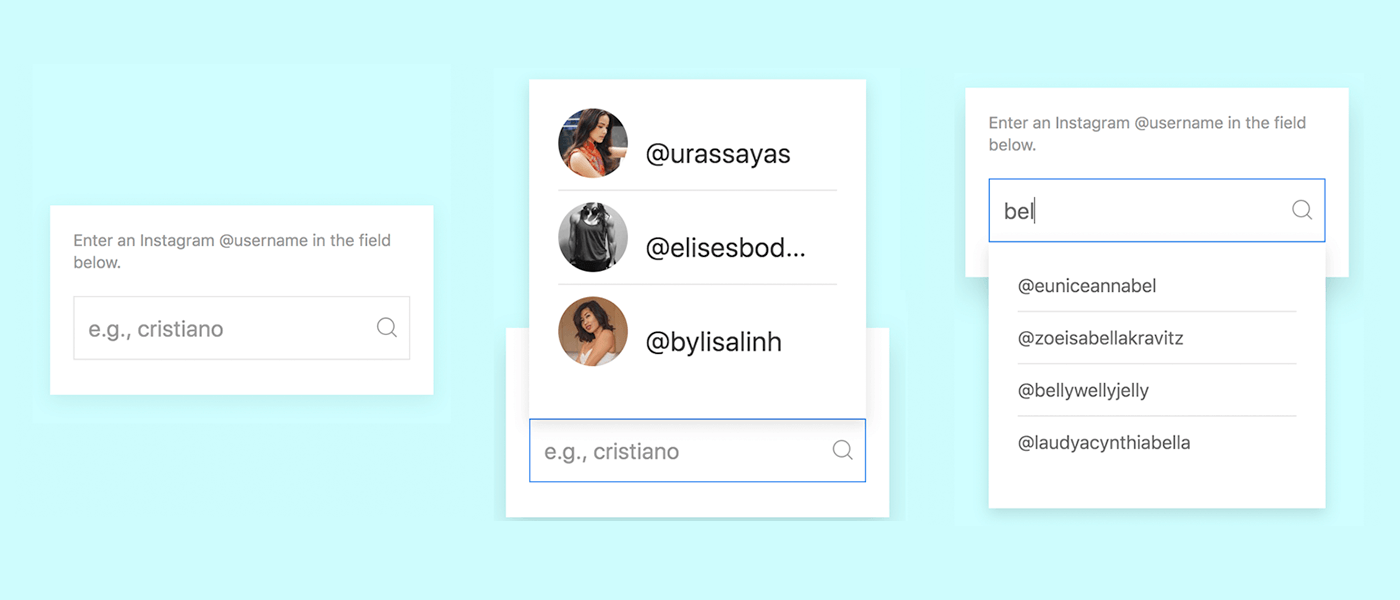 Search widget