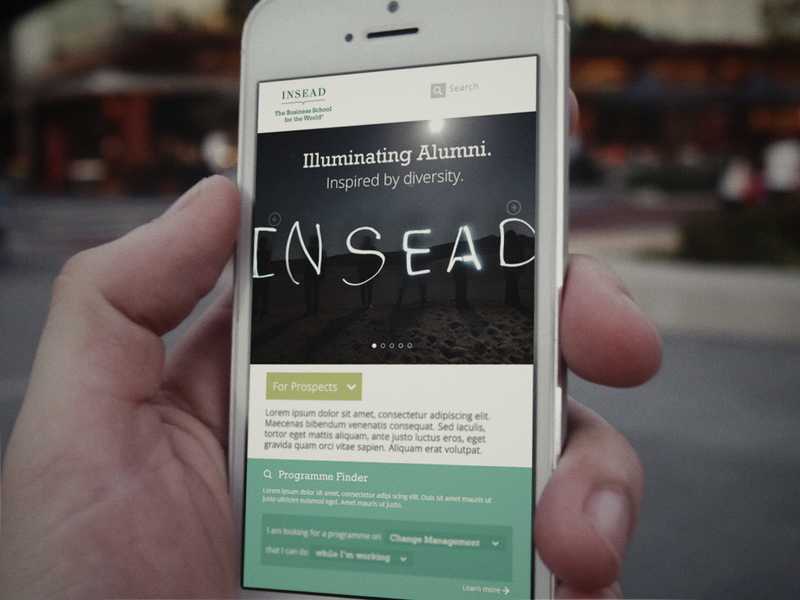 View INSEAD case