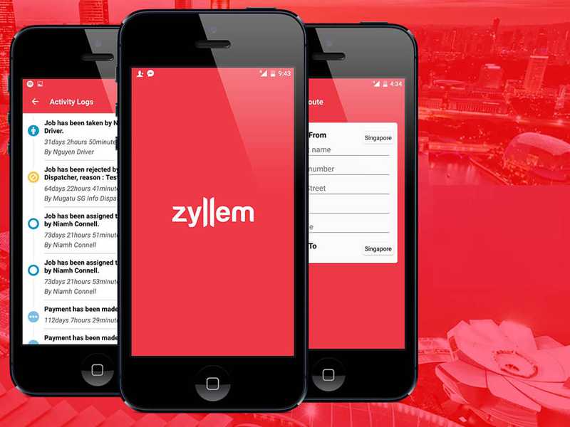 View Zyllem case
